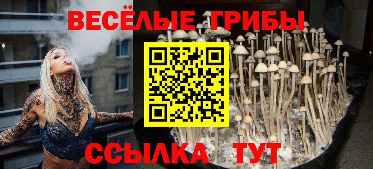 Галлюциногенные грибы ЛСД Вятские Поляны