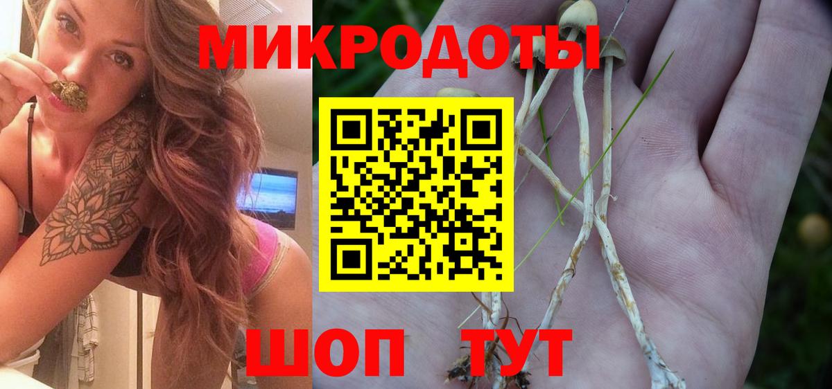 Галлюциногенные грибы Psilocybine cubensis  Галлюциногенные грибы мухоморы  Вход с VPN  Вятские Поляны 
